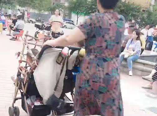 婴儿车改造宠物推车全封闭,婴儿车改造双胞胎车