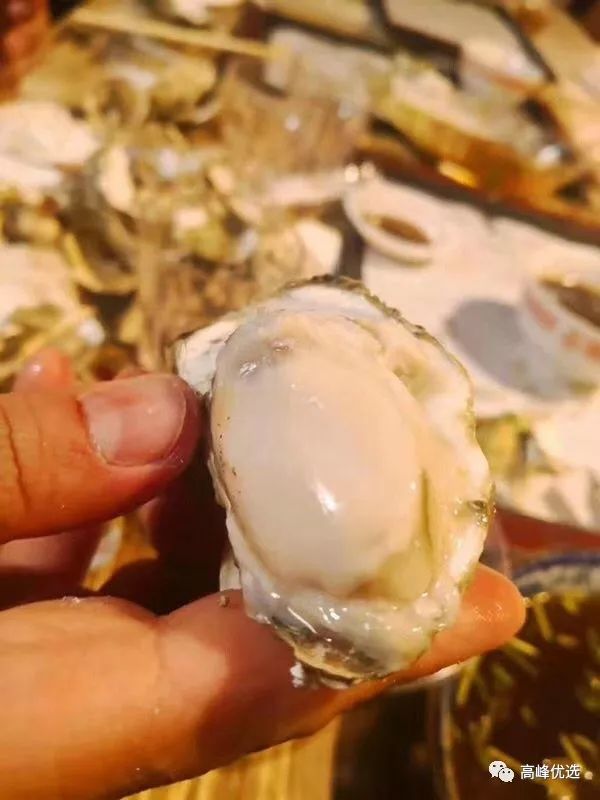 肥嫩美味的生蚝私藏美食大分享,生蚝夜宵美食推荐