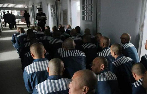 失去自由的日子全集,失去自由的日子的文案