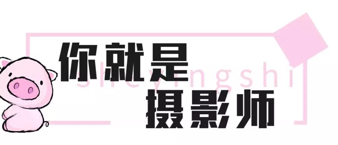 美炸了!天津又一家打卡圣地!自选风格+服装任选+底片全送...