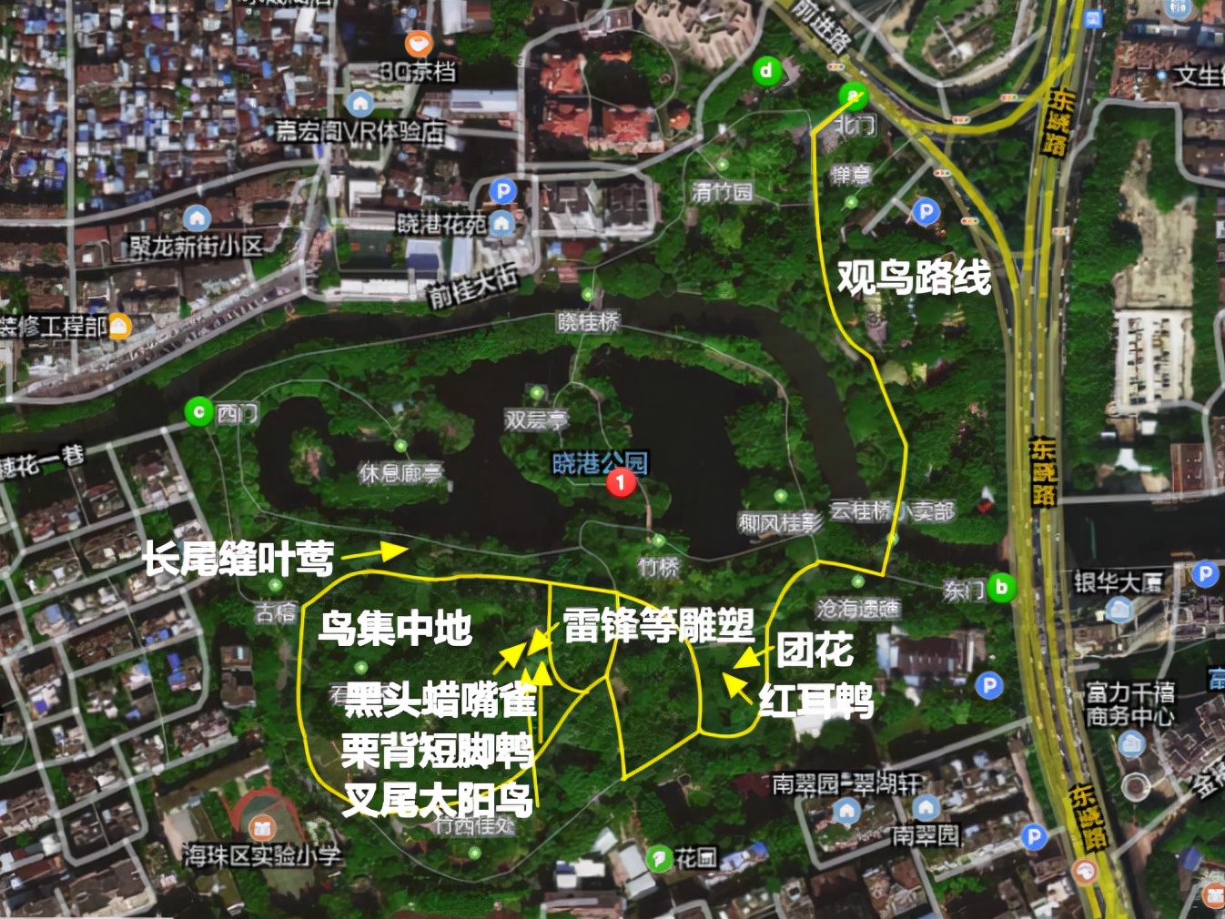 广州晓港公园拍到黑枕黄鹂,广州晓港公园简介