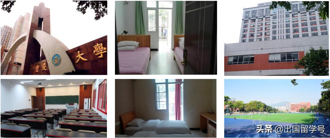 重庆大学中泰0.5+3.5本科留学