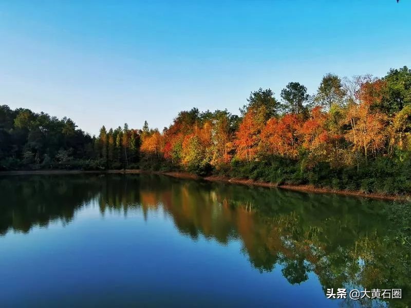 湖北有哪些县市风景最好,湖北有什么山水风景