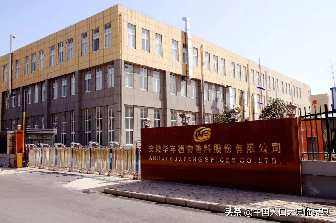 临泉县未来的样子！期待越来越好