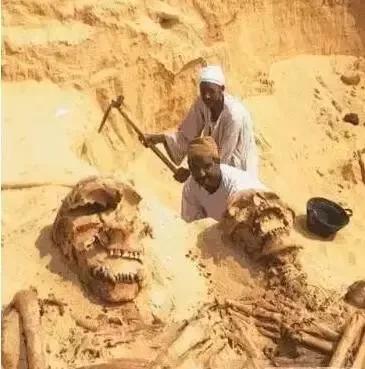 泰坦巨人族,泰坦巨人传说真实故事