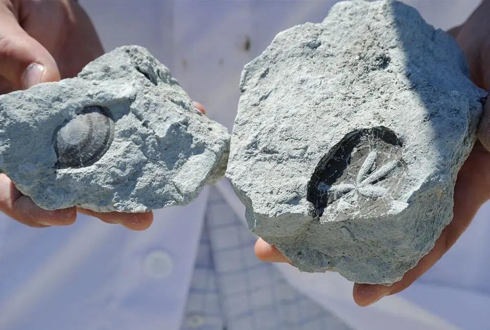 为什么你的痘印总是消不下去,为什么你的祛斑效果不理想