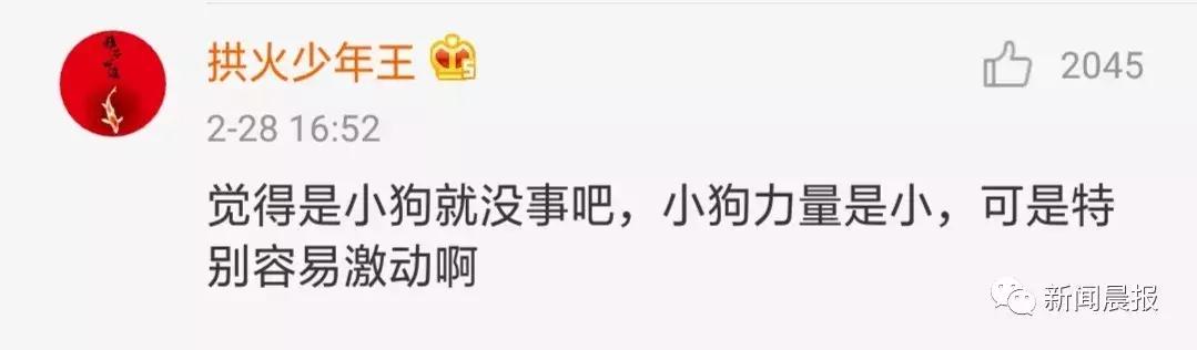 赔了20万！狗狗只是起身走了两步，老人摔成9级伤残！网友炸锅…