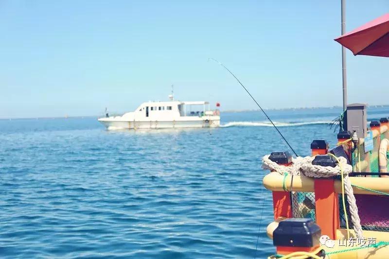 东楮岛海草房全景,东楮岛渔村海草房介绍