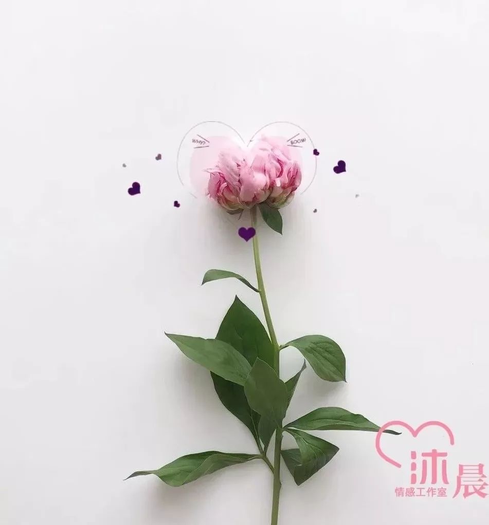 喜欢上已婚男人说怀孕了怎么办,35岁未婚女爱上已婚男