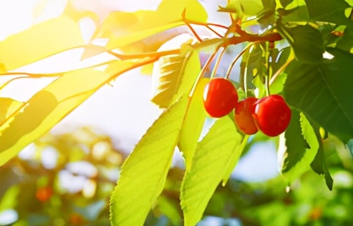 2021年最流行黄灰的穿搭,2023高级色系穿搭