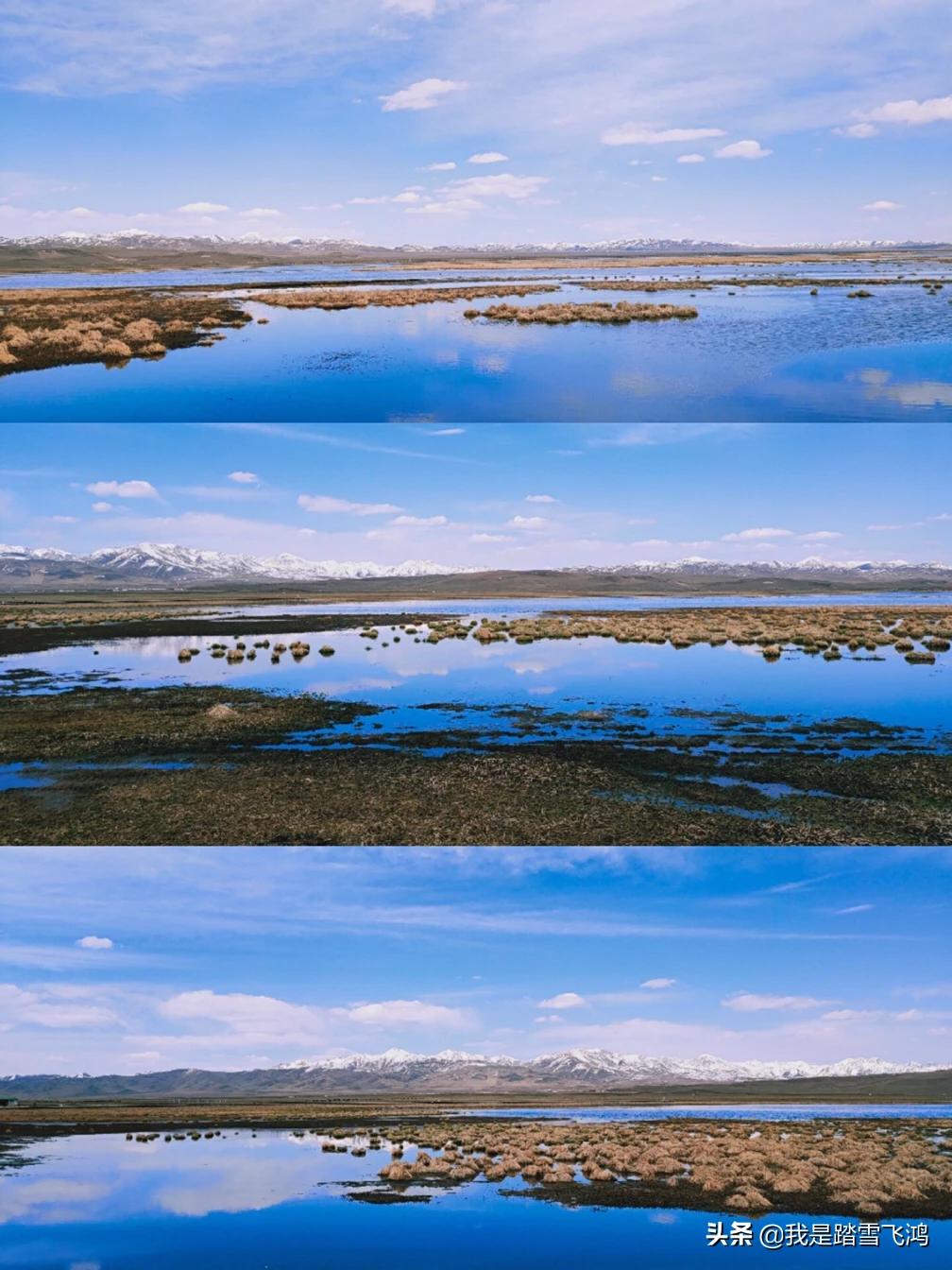 川西若尔盖7天自驾游,自驾9天若尔盖