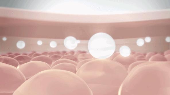 毛戈平素颜妆,毛戈平大脸变v脸