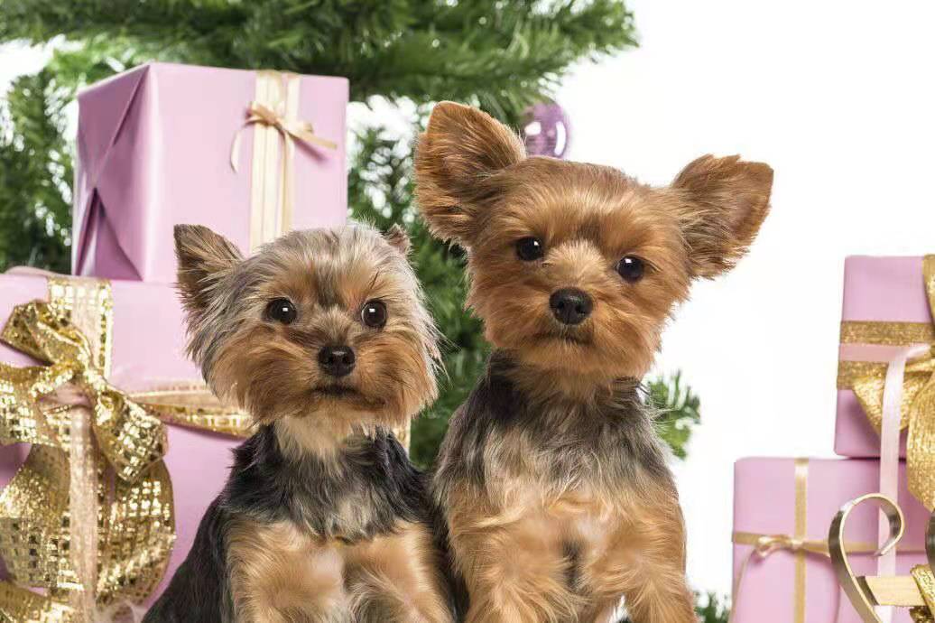 美文欣赏是什么,美文鉴赏推荐