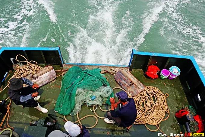 藏在日照的海边，竟然有一处世外桃源，赶海，捕鱼，温馨民宿……