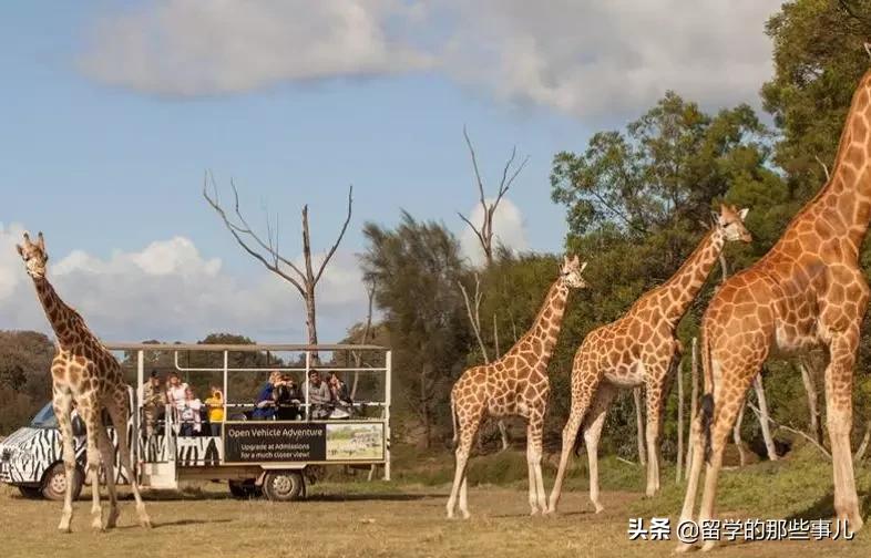 墨尔本亲子游旅游攻略大全,墨尔本亲子游攻略