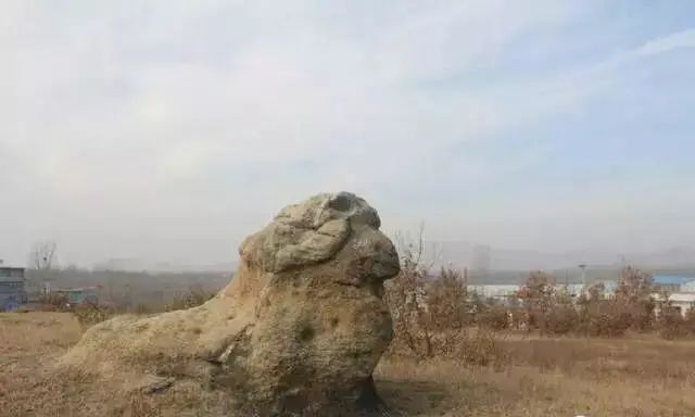 闲着木事儿，你来俺家玩儿呗