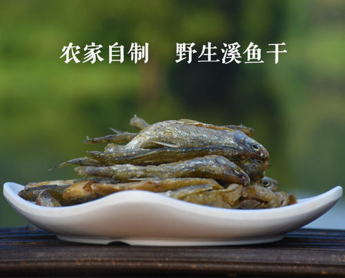 同为天涯客，何须吝千樽——打卡缙云怎么能少了你