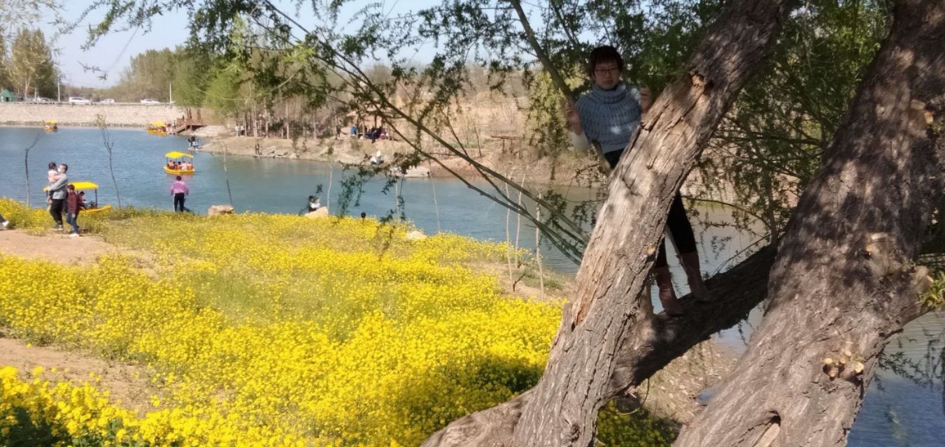 七律春日感怀的诗词,七律春日寻春诗词