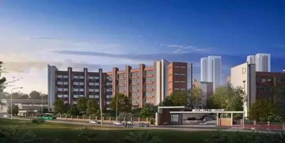 礼嘉属于什么档次,礼嘉凭什么那么贵