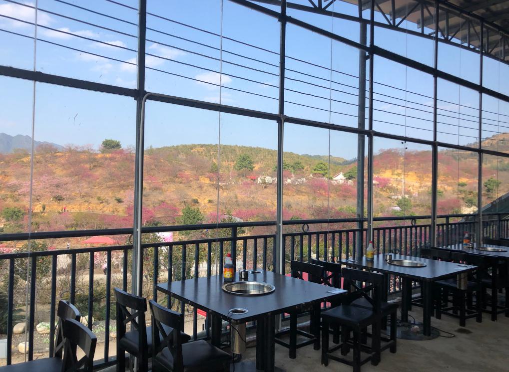 广东看樱花旅游景点推荐,广东樱花打卡景点