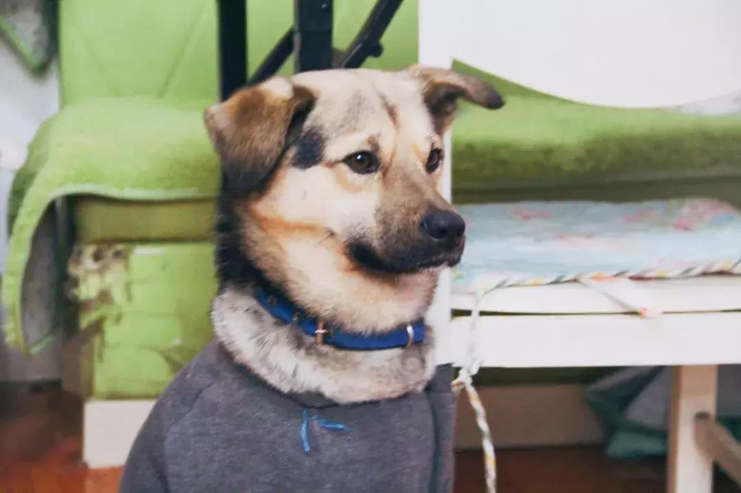 这家藏在老小区里的风味小馆，去一次就爱上话痨老板娘！