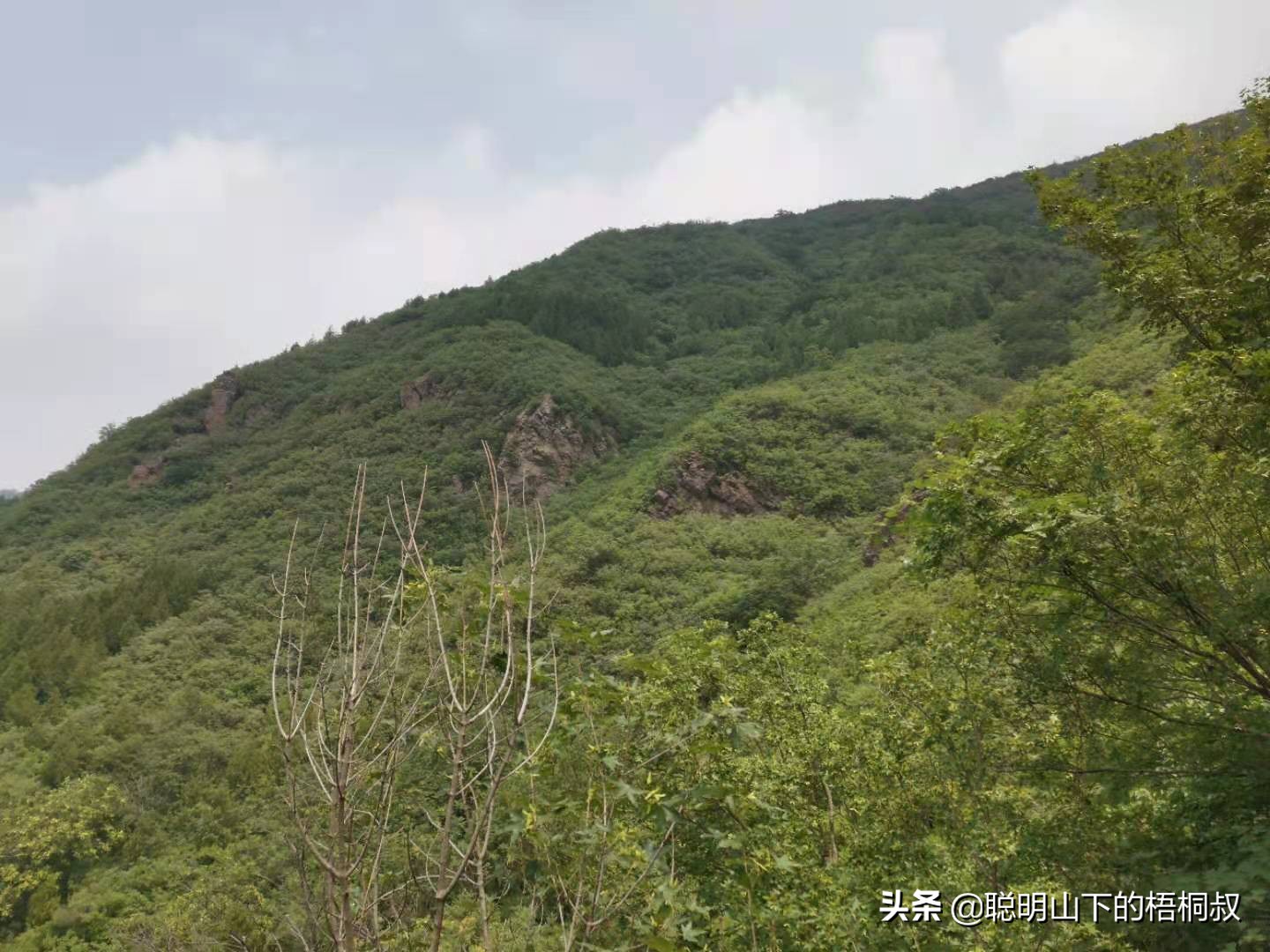 蟒山国家森林公园自由行攻略,北京蟒山森林公园游玩攻略