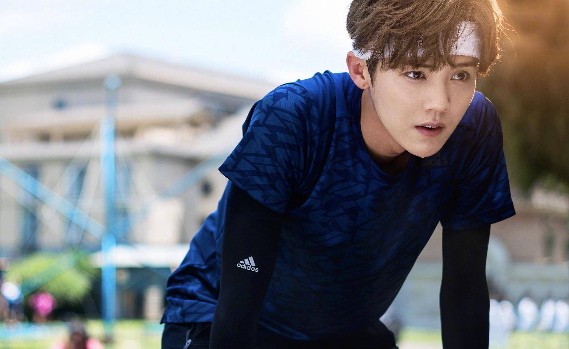 鹿晗所有座驾,鹿晗现在的豪车