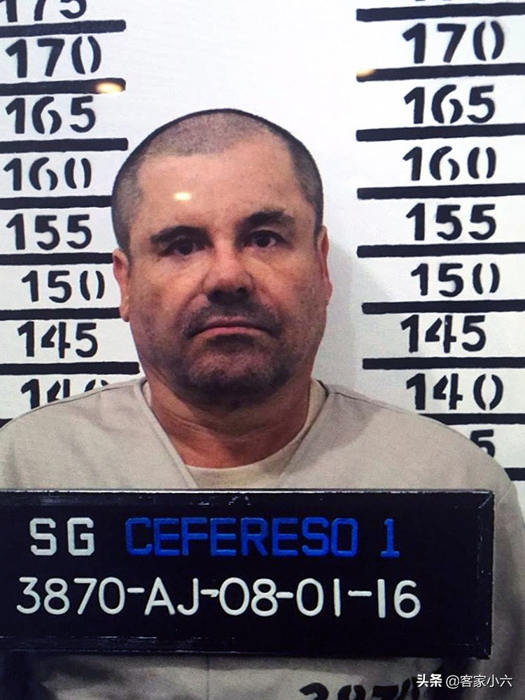 夺命毒枭VS慈善先生双面黑帮老大