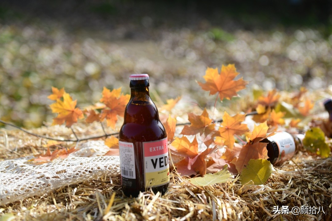 没有比利时花园游，来点比利时啤酒吧|随笔