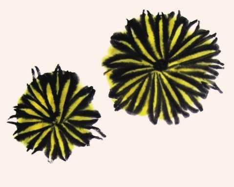 国画知识：不会画菊花？教你5种菊花画法，简单易学，快来临摹吧