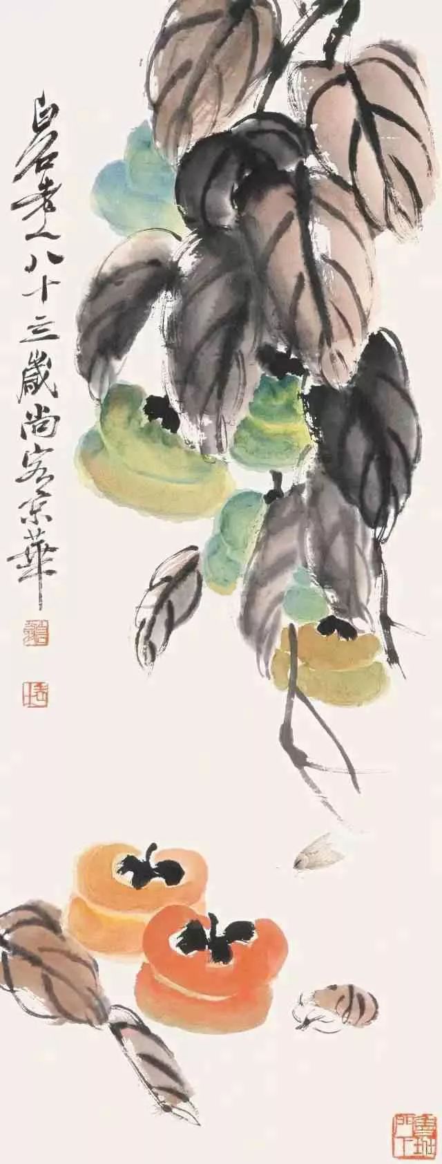 写意柿子叶的画法步骤图,徐湛写意柿子的画法