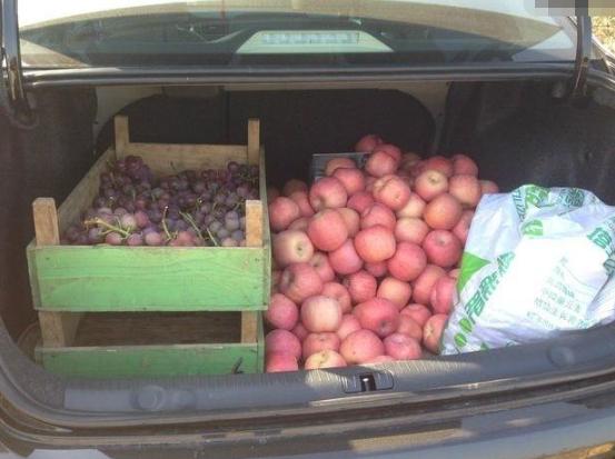 后备箱有“四不放”，很多车主还不知道？最后一样或能让车辆报废