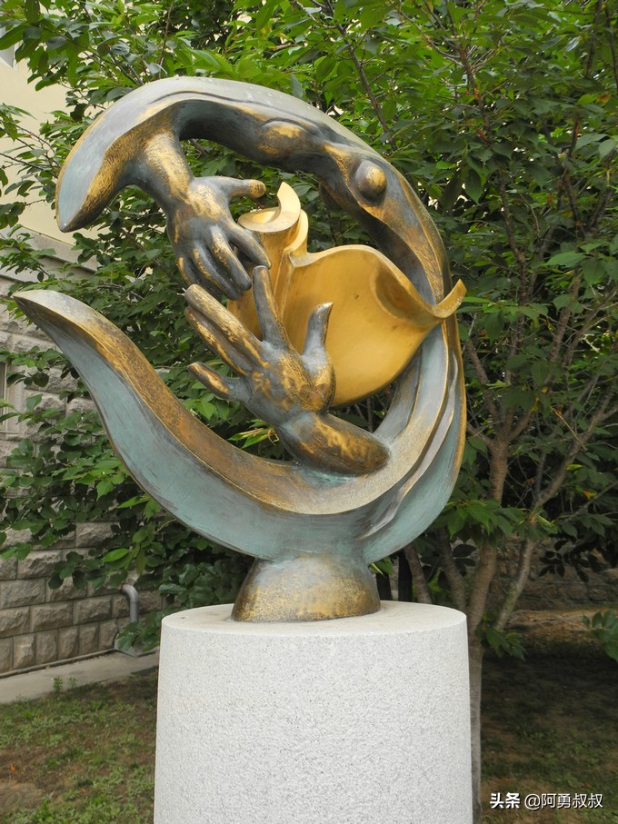 经验分享百强榜,青岛二中顶尖学子