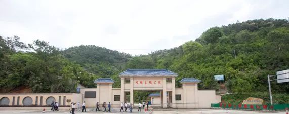 3年30亿扶持3000村!广东“一村一品、一镇一业”今年起这么干!