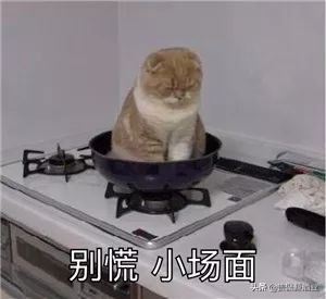 四川口音老同学笑话,关于福建口音的笑话