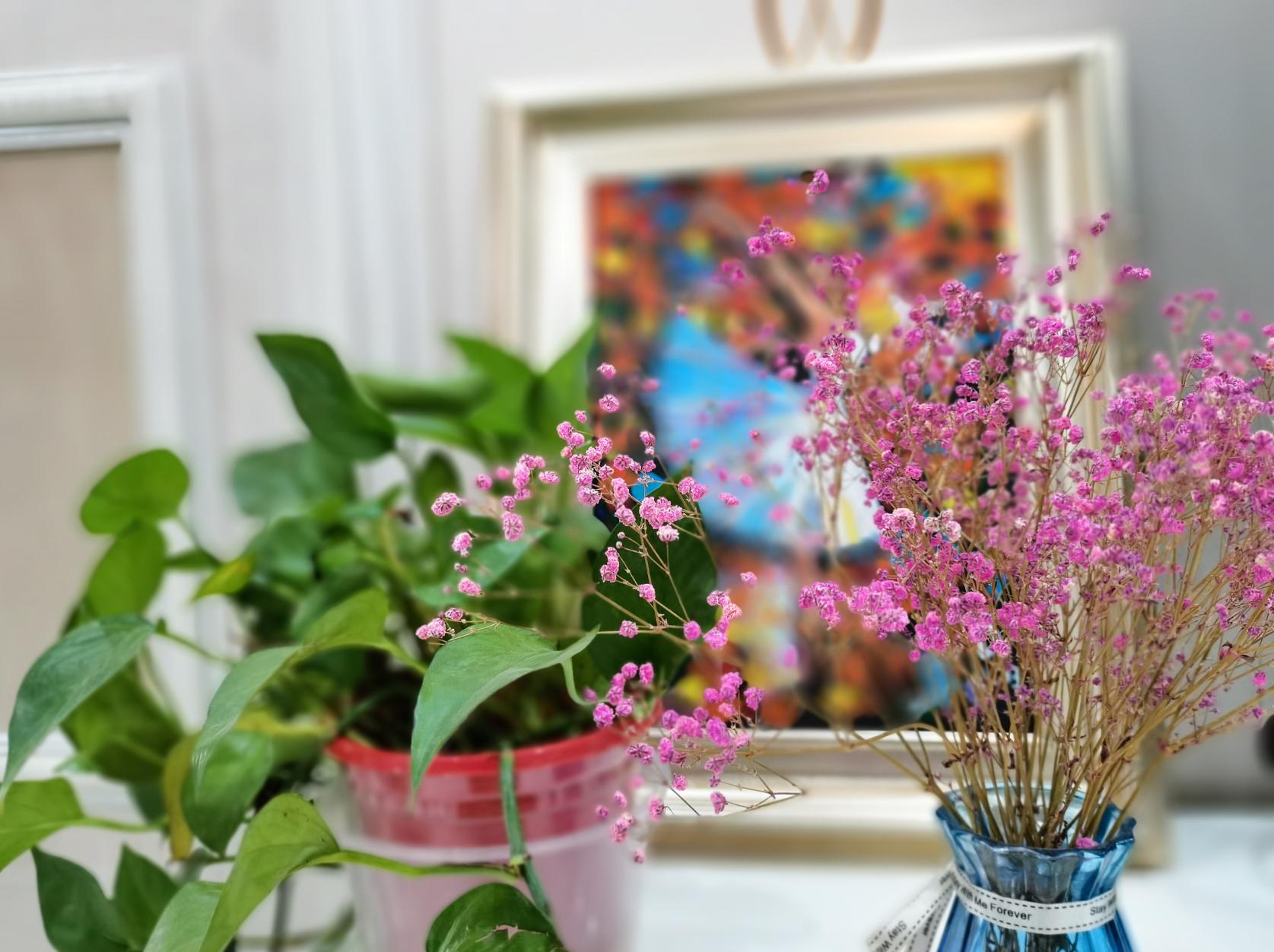 荣耀30s放大20倍拍照评测,荣耀30s测评大米