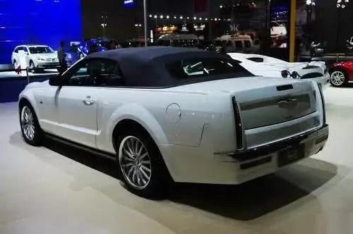 20辆豪华婚车齐现街头，头车酷似劳斯莱斯，车标却不是飞天女神