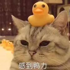 艺术院校分析,艺术院校哪家强