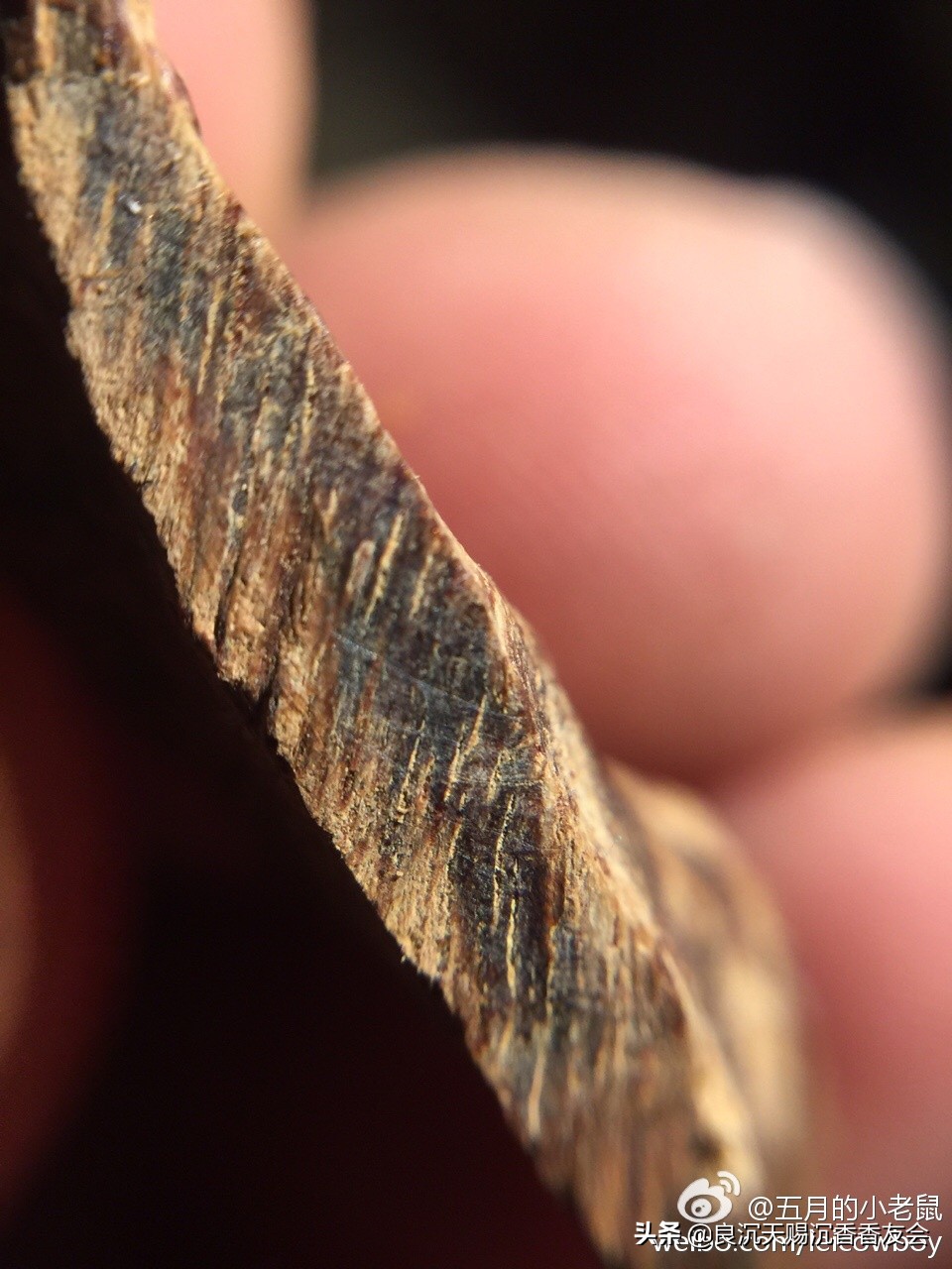 沉香的纹理鉴别方法,怎么通过沉香的味道辨别真假