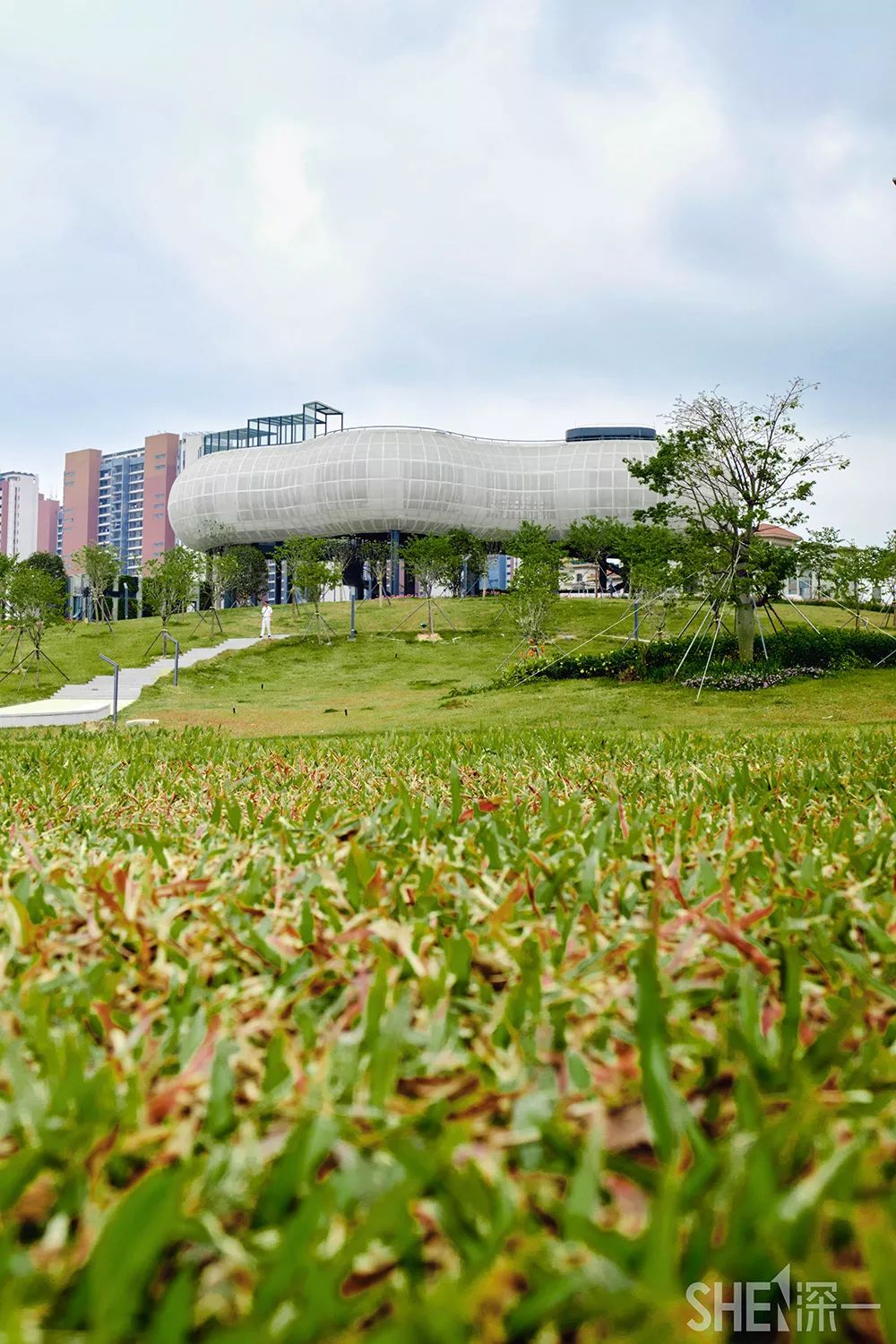 龙华新公园在哪里,深圳龙华区免费的公园