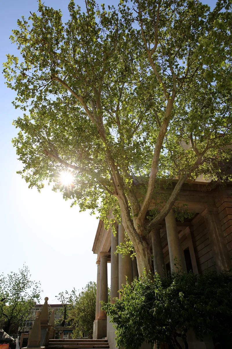 从基本均衡到优质均衡的跨越,从基本均衡迈向优质均衡心得体会