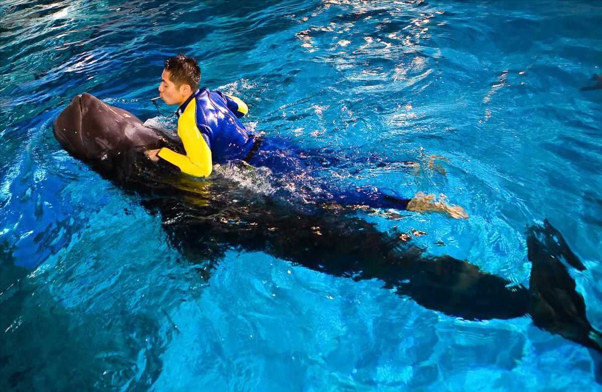 在鲸鱼肚子里是什么感觉,在鲸鱼肚子会经历什么