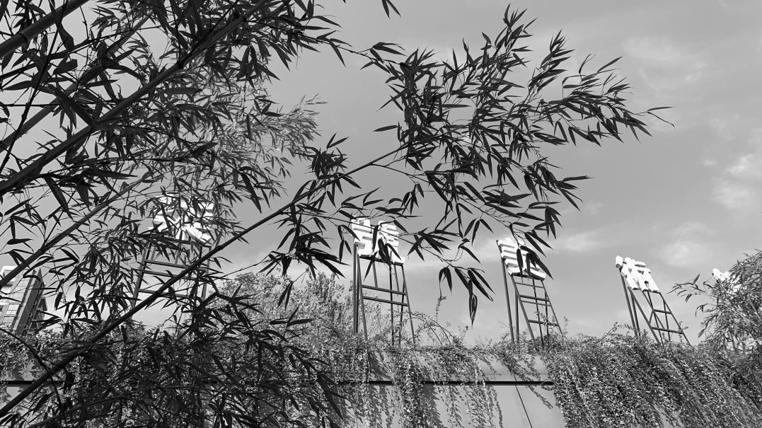 谜-常州首届设计师肖像艺术展