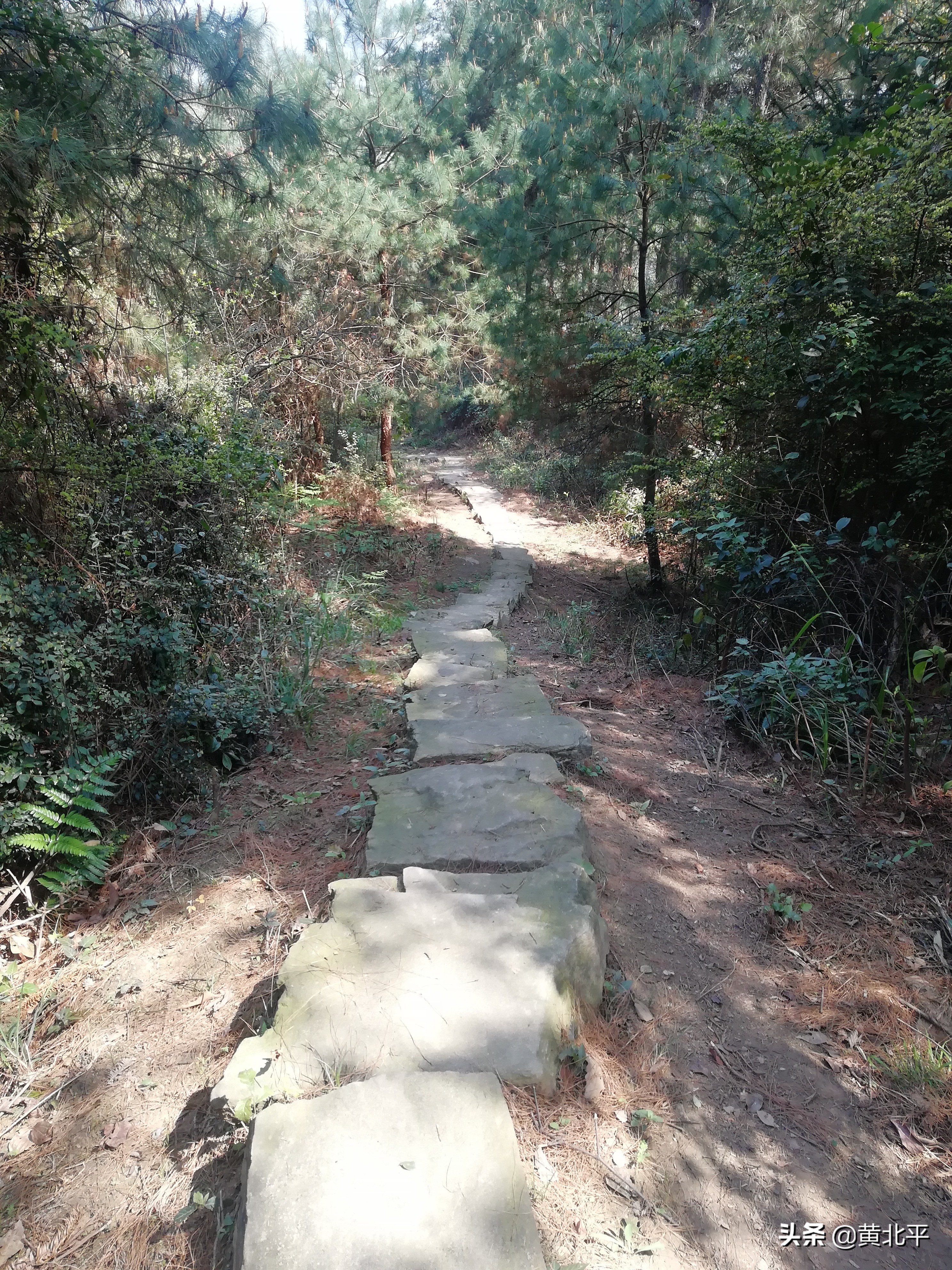 重庆大渡口白云寺遗址,重庆市南川区白云寺