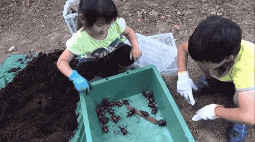 疫情期间12岁小学生做出颠覆常识的发现，以一作身份发了论文