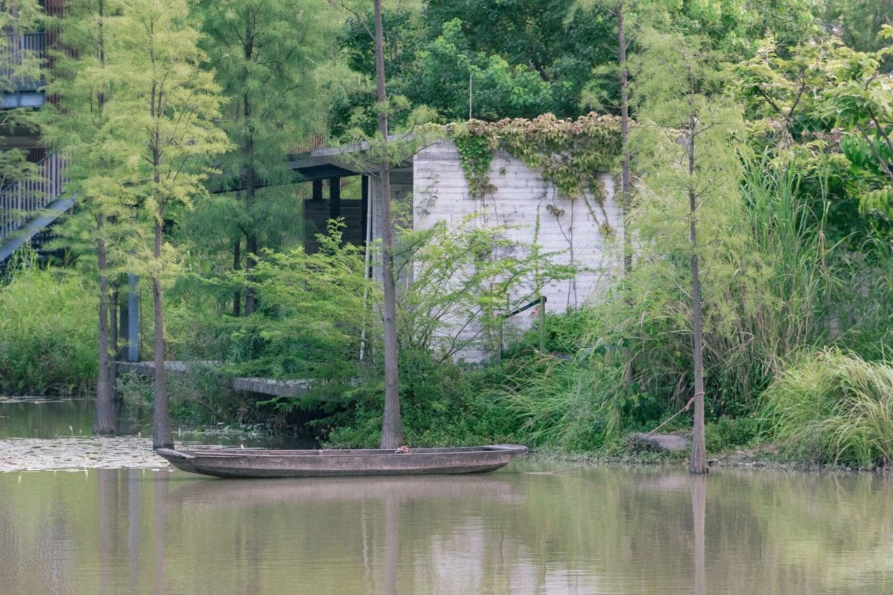 深圳最适合亲子游的好去处,深圳周末家庭游玩好去处
