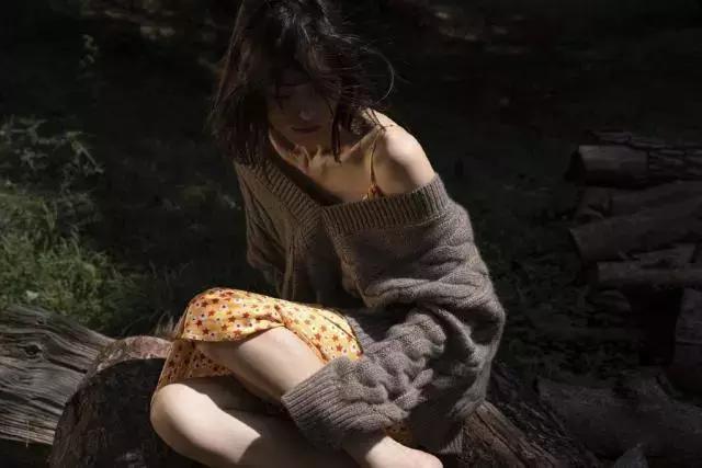 32岁刘雯身价多少亿,刘雯成名模之路