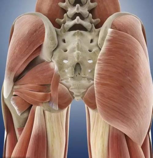 为什么拍打臀部会感觉臀部翘了,臀部如何塑形六个动作轰炸臀部