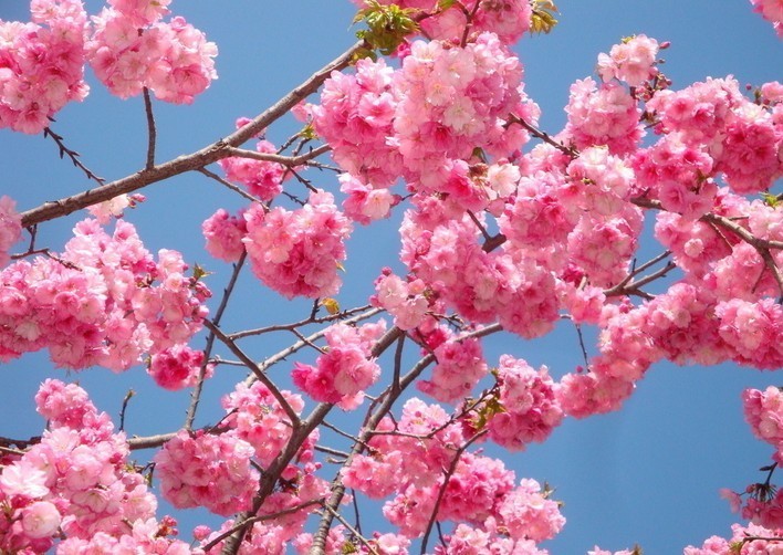 揭露*体娃实**娃行业*规则潜**