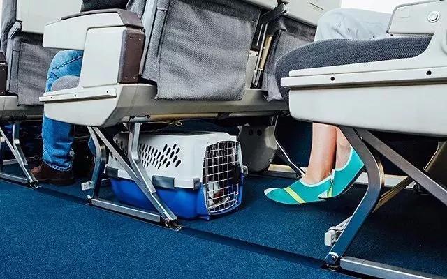 无感鞋子,穿在脚上无存在感鞋